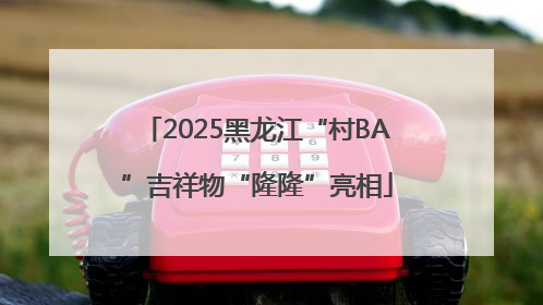 2025黑龙江“村BA”吉祥物“隆隆”亮相