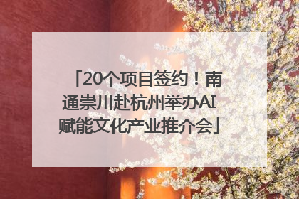20个项目签约！南通崇川赴杭州举办AI赋能文化产业推介会