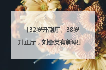 32岁升副厅、38岁升正厅，刘会英有新职