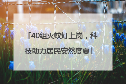 40组灭蚊灯上岗，科技助力居民安然度夏