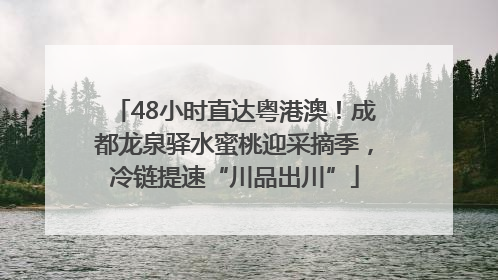 48小时直达粤港澳！成都龙泉驿水蜜桃迎采摘季，冷链提速“川品出川”