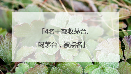 4名干部收茅台、喝茅台，被点名