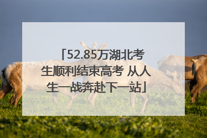 52.85万湖北考生顺利结束高考 从人生一战奔赴下一站