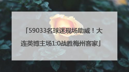 59033名球迷现场助威！大连英博主场1:0战胜梅州客家