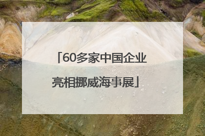 60多家中国企业亮相挪威海事展