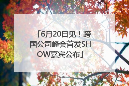 6月20日见！跨国公司峰会首发SHOW嘉宾公布