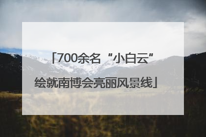 700余名“小白云”绘就南博会亮丽风景线