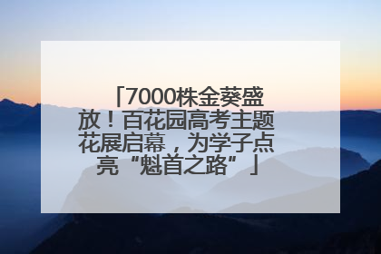 7000株金葵盛放！百花园高考主题花展启幕，为学子点亮“魁首之路”
