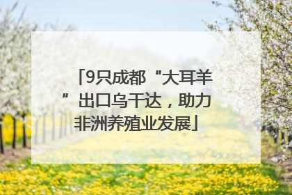 9只成都“大耳羊”出口乌干达，助力非洲养殖业发展