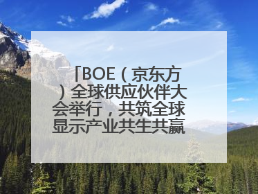 BOE（京东方）全球供应伙伴大会举行，共筑全球显示产业共生共赢新格局