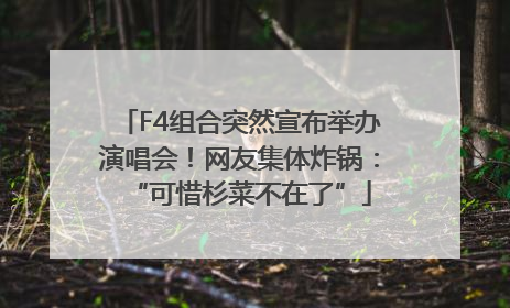 F4组合突然宣布举办演唱会！网友集体炸锅：“可惜杉菜不在了”