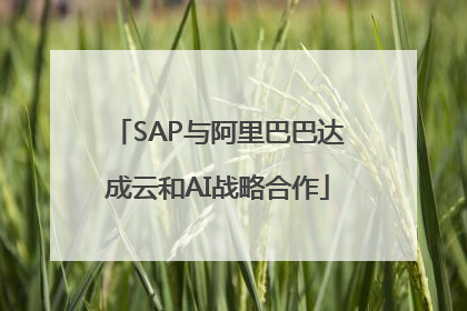 SAP与阿里巴巴达成云和AI战略合作