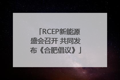 RCEP新能源盛会召开 共同发布《合肥倡议》